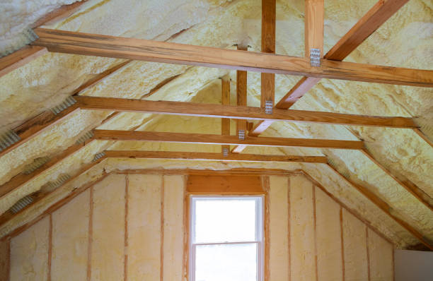 Best Geographic-Specific Insulation Services in Clearwater, SC