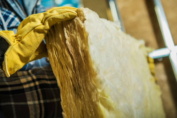 Best Energy Efficiency Insulation in Clearwater, SC