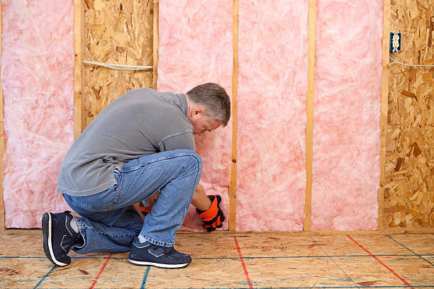 Best Eco-Friendly Insulation in Clearwater, SC