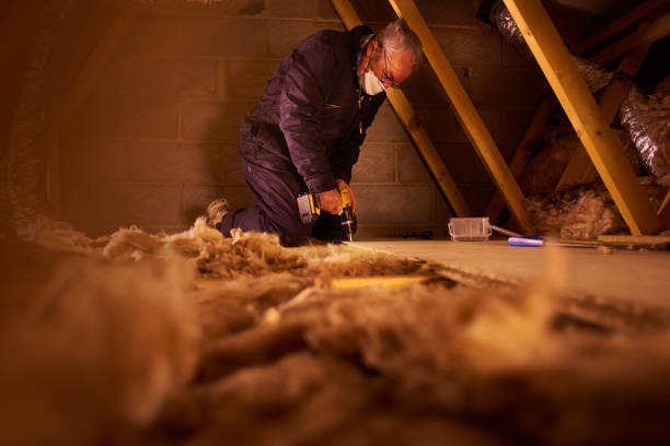 Types of Insulation We Offer in Clearwater, SC